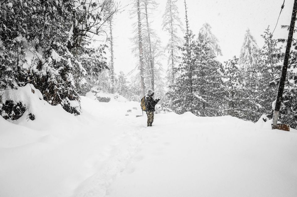 Photo of Heavy Snowfall in Higher Reaches of Uttarakhand Attracts Tourists From All Over 1/2 by Neha Bhise Sadalge