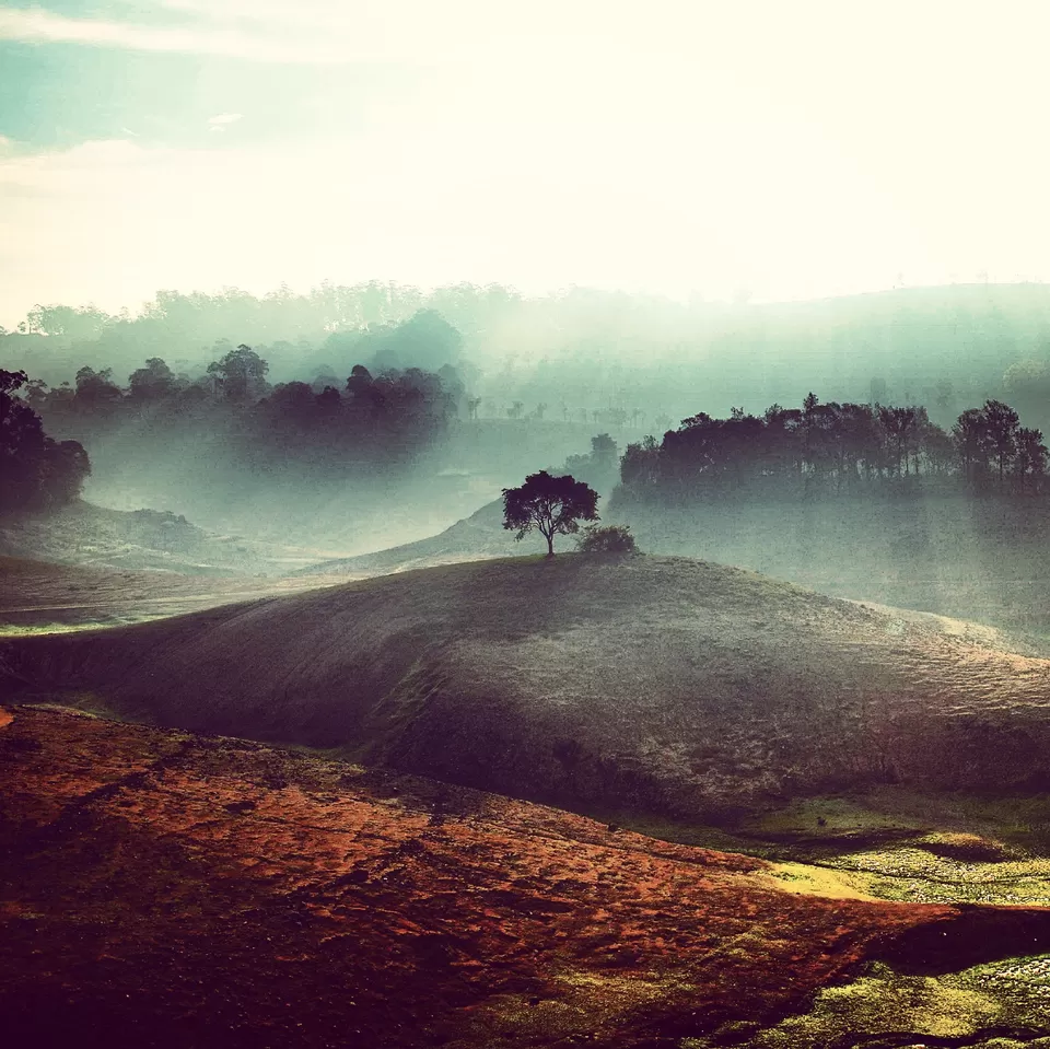 Photo of Sholayar Dam, Coimbatore, Tamil Nadu, India by the_greyghost