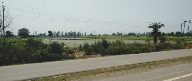 Photo of Road trip to Heaven 7/21 by Nitin Bothra