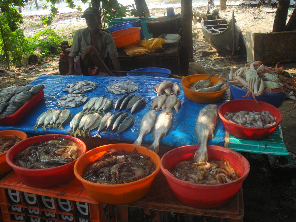 Photo of Southern Sojourn - Kerala, India by Tanya Chaudhary