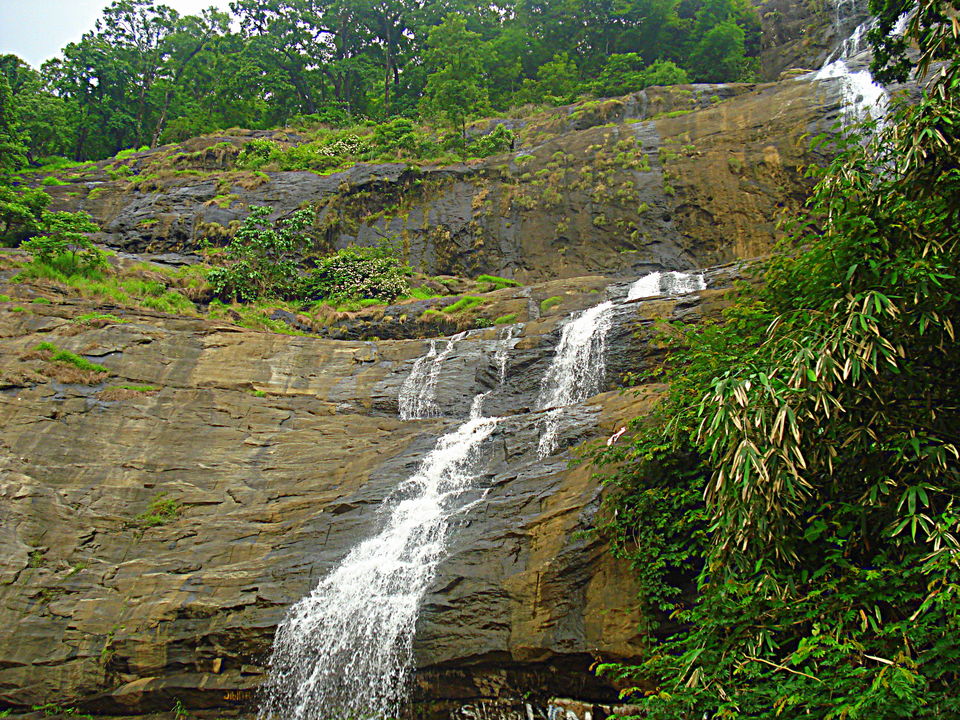 Photo of Southern Sojourn - Kerala, India by Tanya Chaudhary