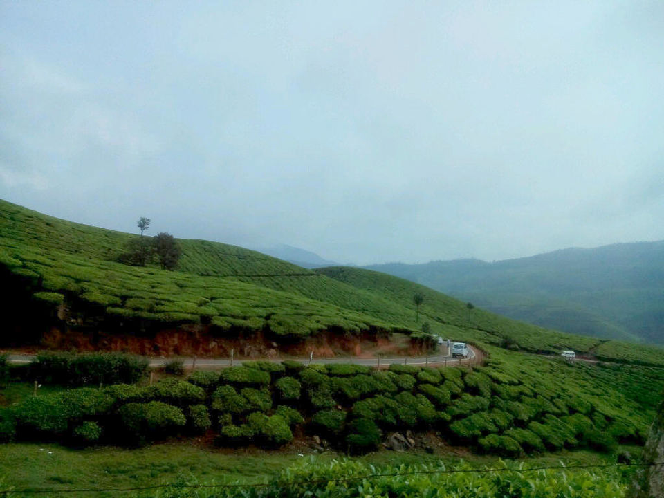 Photo of Southern Sojourn - Kerala, India by Tanya Chaudhary