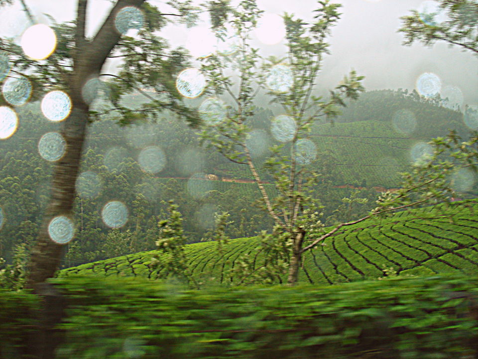 Photo of Southern Sojourn - Kerala, India by Tanya Chaudhary