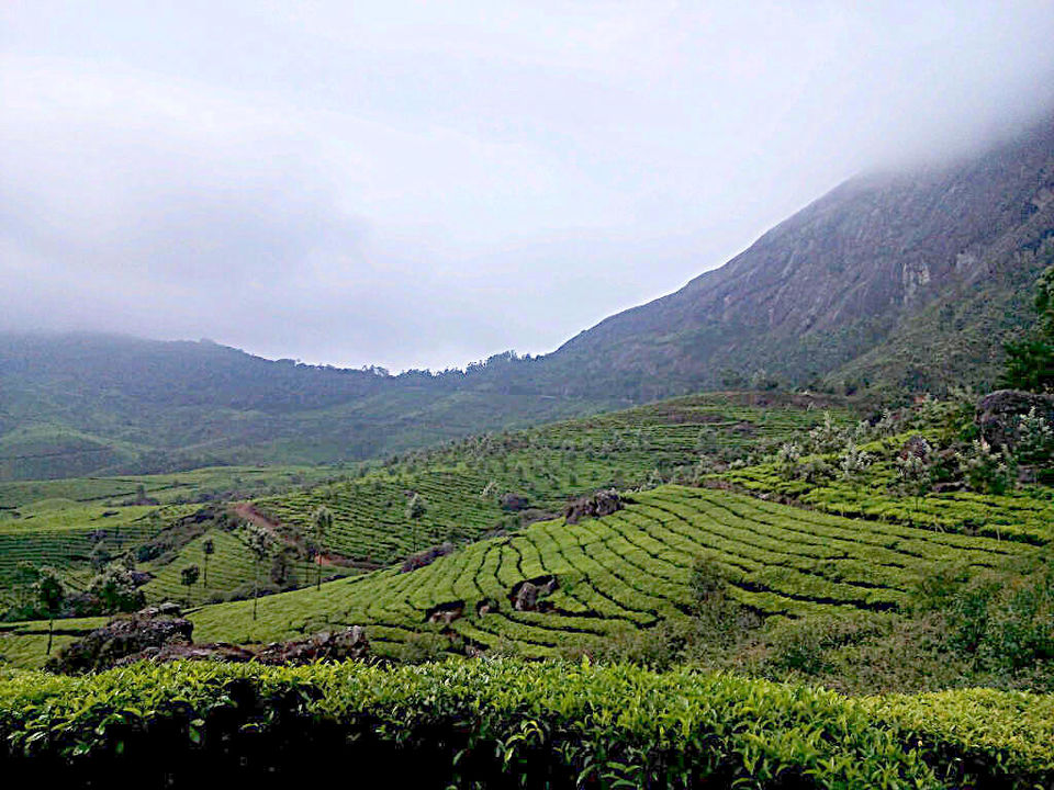 Photo of Southern Sojourn - Kerala, India by Tanya Chaudhary