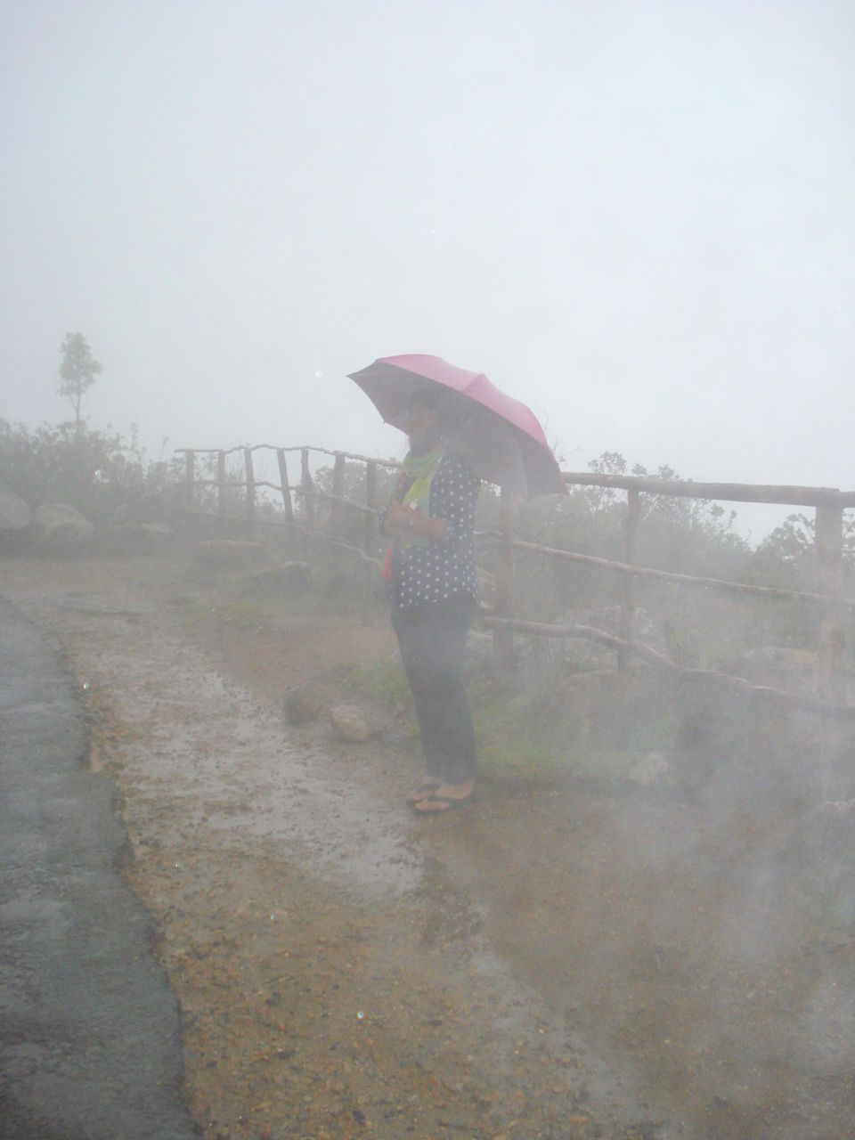 Photo of Southern Sojourn - Kerala, India by Tanya Chaudhary