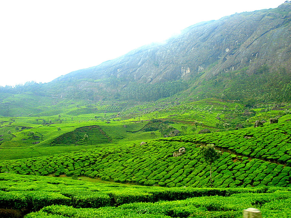 Photo of Southern Sojourn - Kerala, India by Tanya Chaudhary
