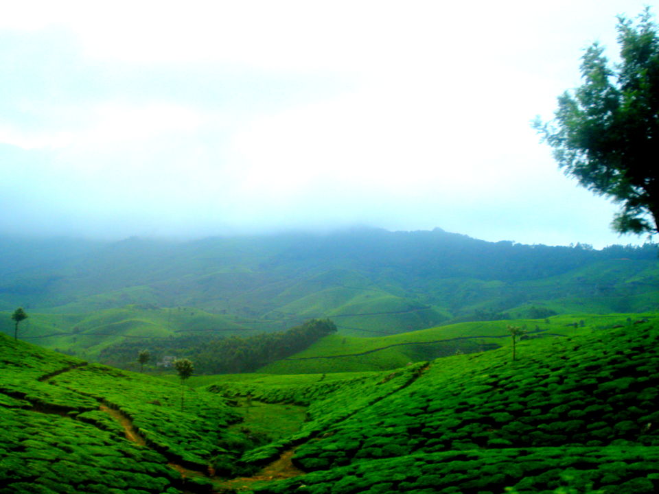 Photo of Southern Sojourn - Kerala, India by Tanya Chaudhary