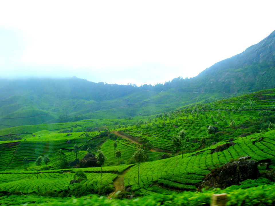 Photo of Southern Sojourn - Kerala, India by Tanya Chaudhary