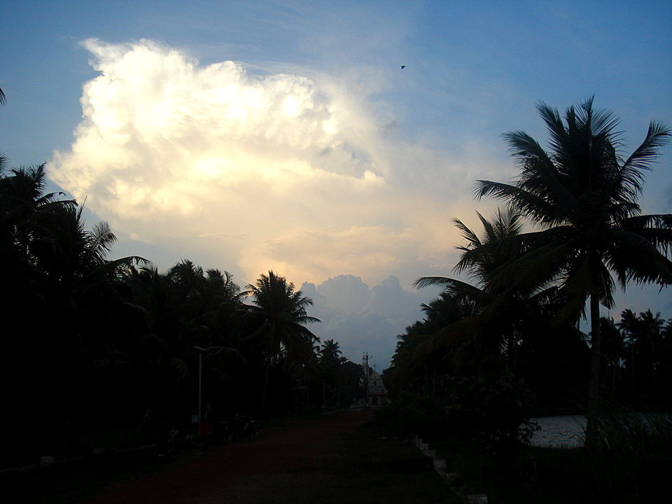 Photo of Southern Sojourn - Kerala, India by Tanya Chaudhary