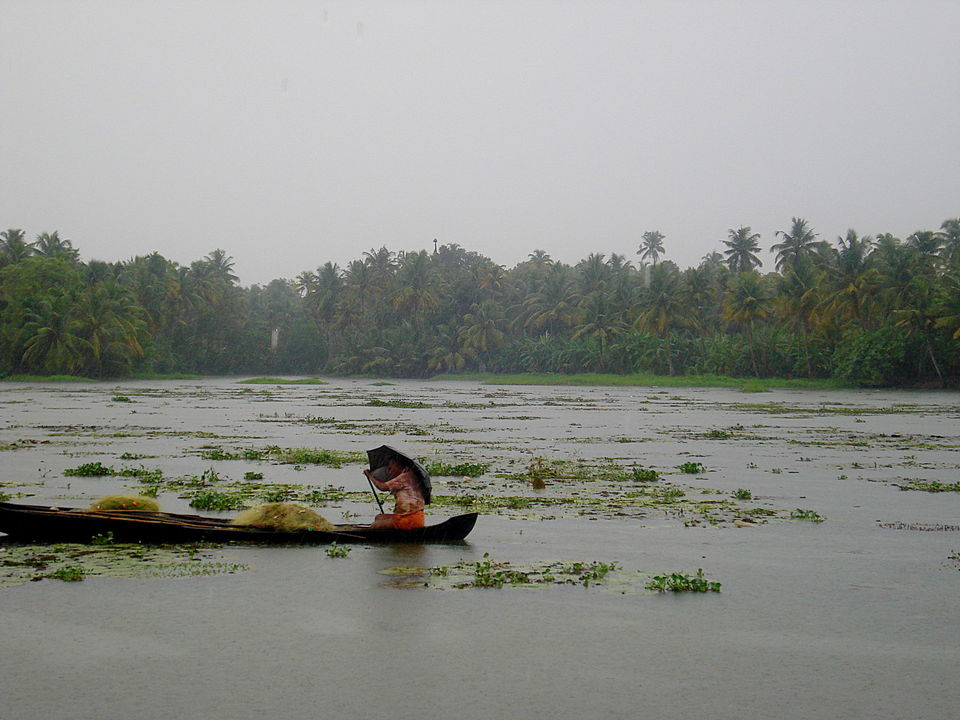 Photo of Southern Sojourn - Kerala, India by Tanya Chaudhary