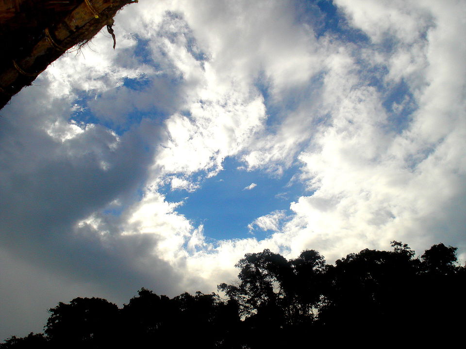 Photo of Southern Sojourn - Kerala, India by Tanya Chaudhary