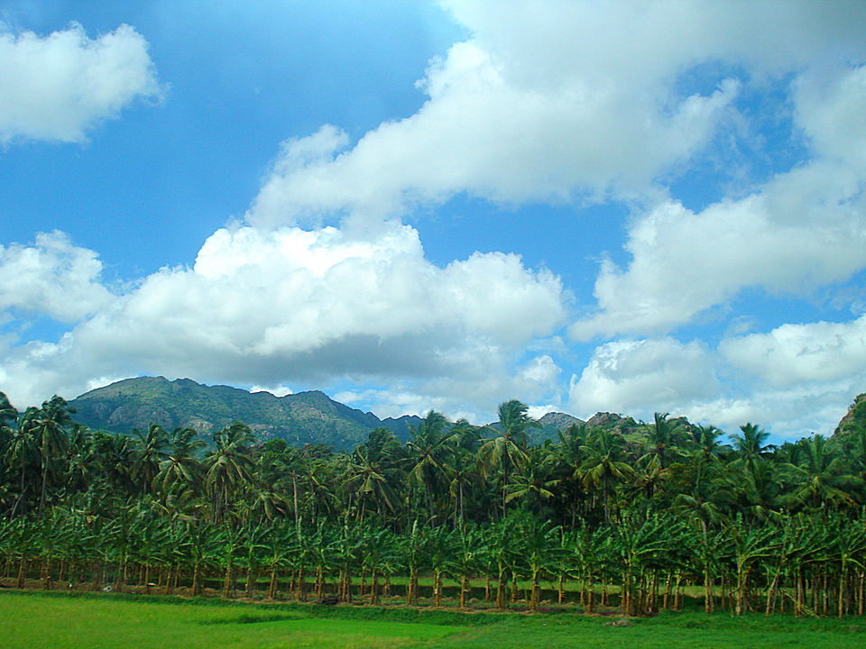 Photo of Southern Sojourn - Kerala, India by Tanya Chaudhary