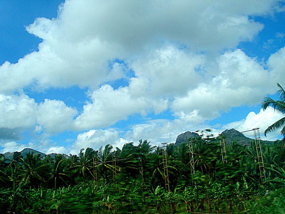 Photo of Southern Sojourn - Kerala, India by Tanya Chaudhary