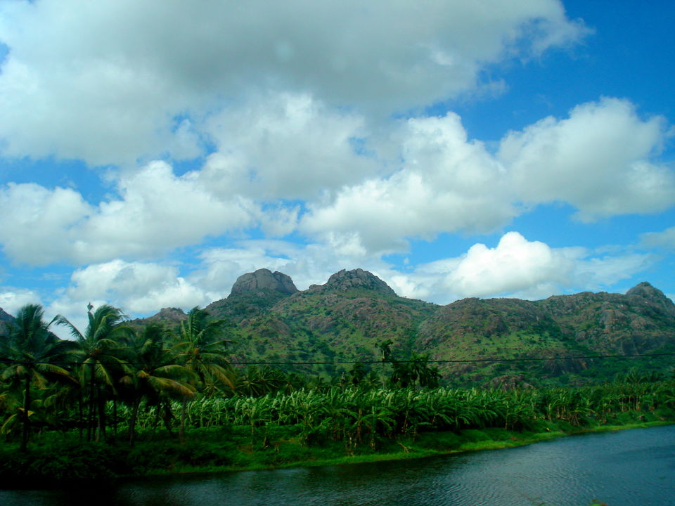 Photo of Southern Sojourn - Kerala, India by Tanya Chaudhary