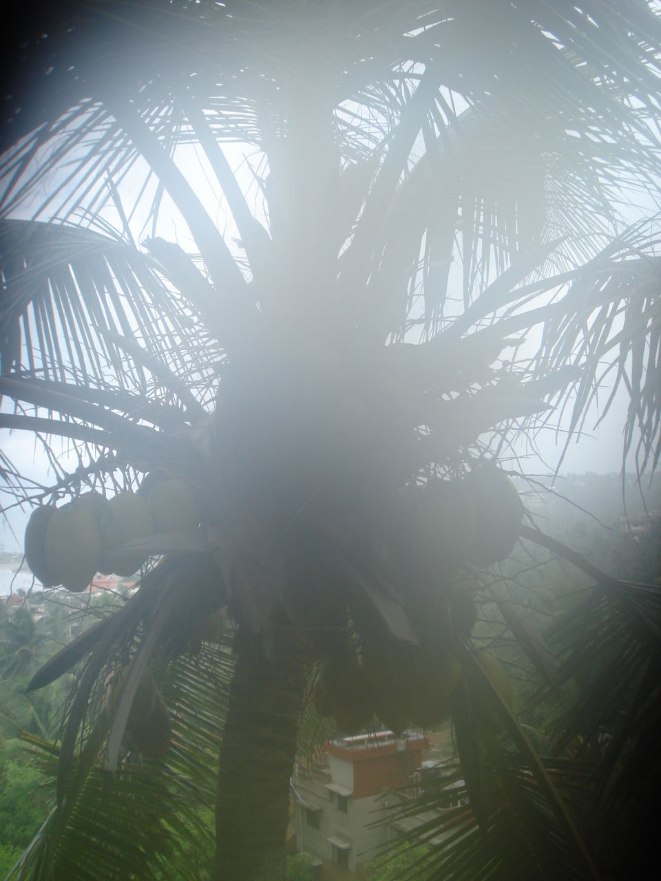 Photo of Southern Sojourn - Kerala, India by Tanya Chaudhary