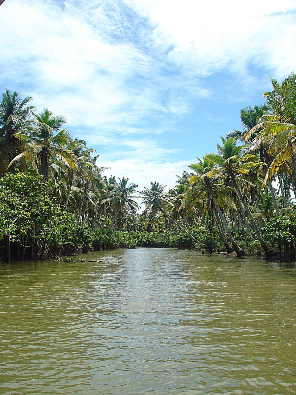 Photo of Southern Sojourn - Kerala, India by Tanya Chaudhary