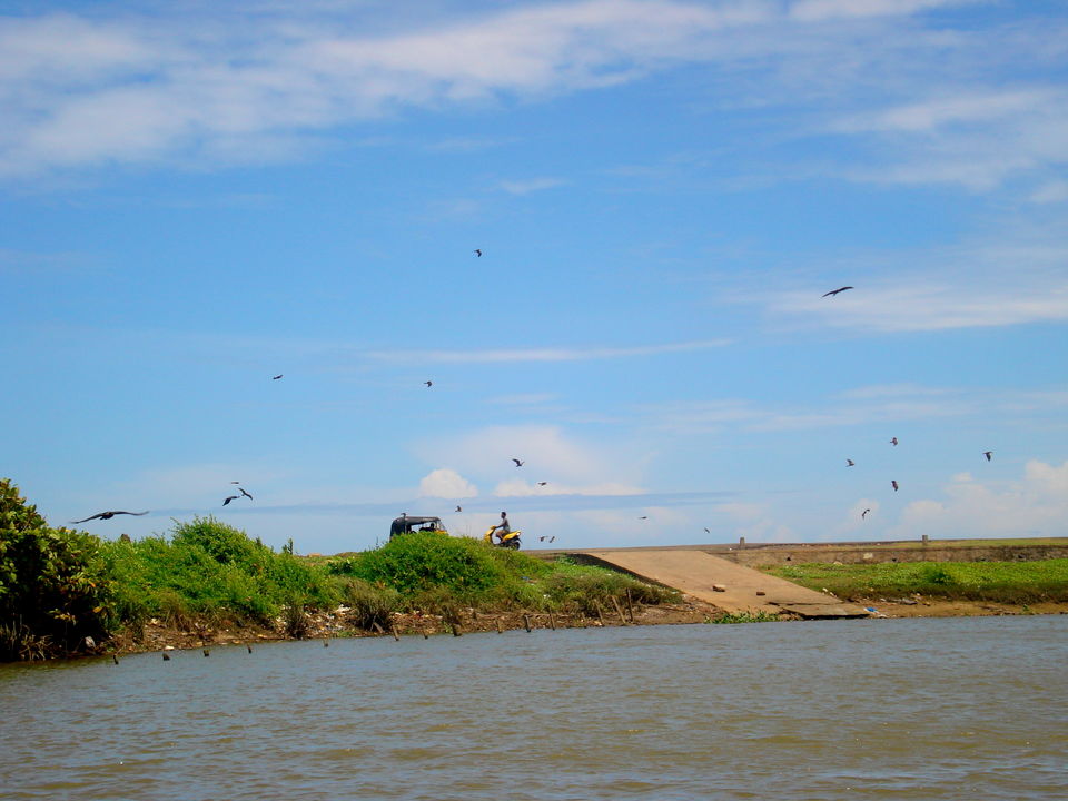 Photo of Southern Sojourn - Kerala, India by Tanya Chaudhary