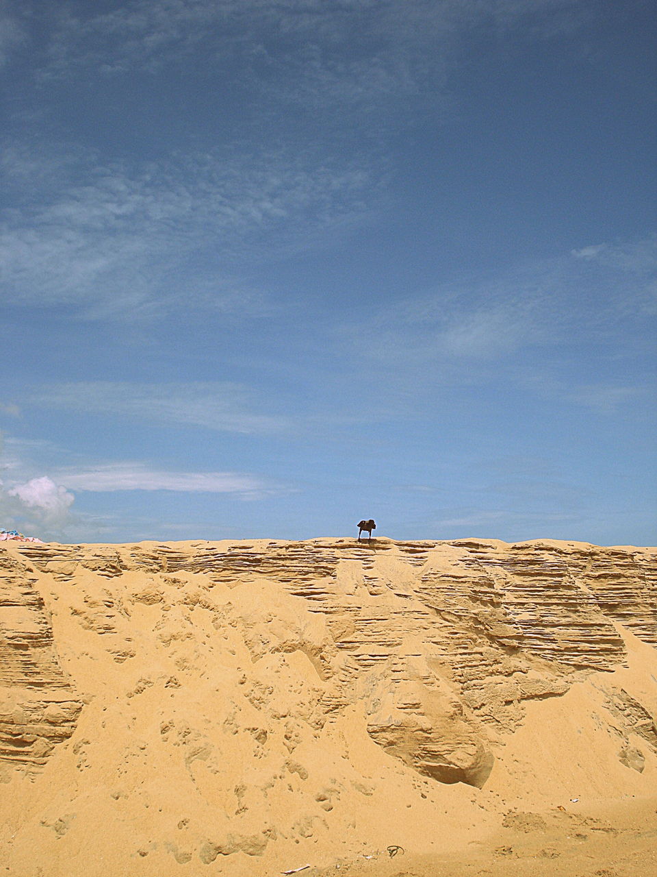 Photo of Southern Sojourn - Kerala, India by Tanya Chaudhary