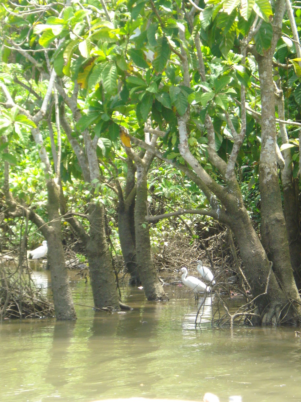 Photo of Southern Sojourn - Kerala, India by Tanya Chaudhary
