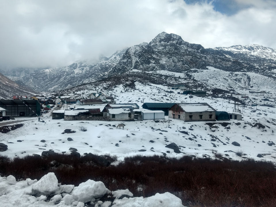 Photo of Beautiful Sikkim & Mesmerizing Meghalaya by Amisha Shah