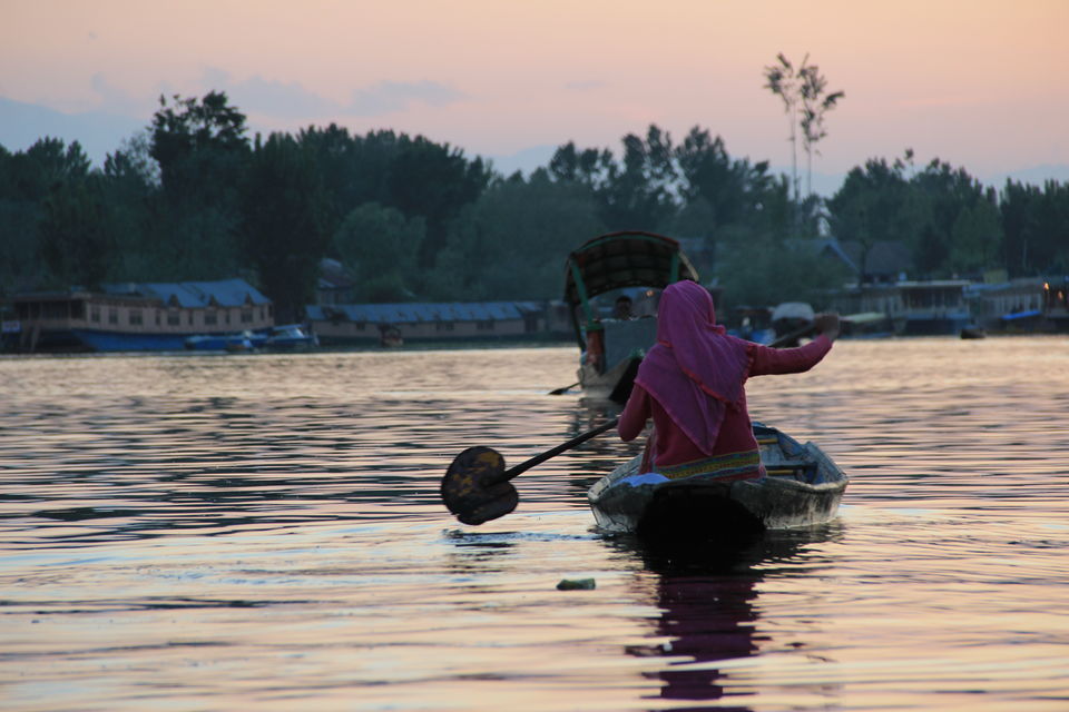 Photo of Dal Lake, Srinagar by Amisha Shah