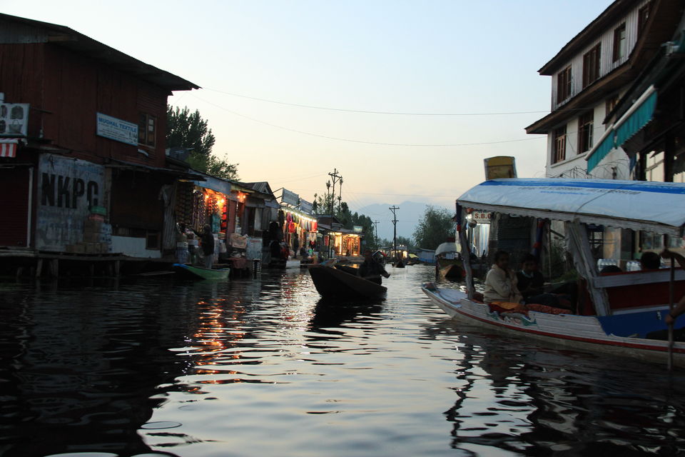 Photo of Dal Lake, Srinagar by Amisha Shah