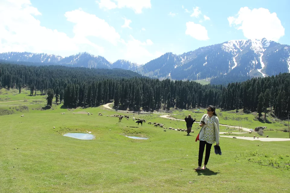 Photo of Doodhpathri, Forest Block by Amisha Shah