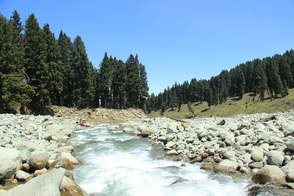Photo of Doodhpathri, Forest Block by Amisha Shah