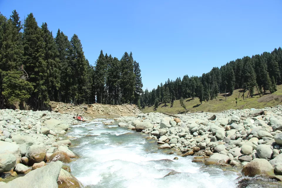Photo of Doodhpathri, Forest Block by Amisha Shah