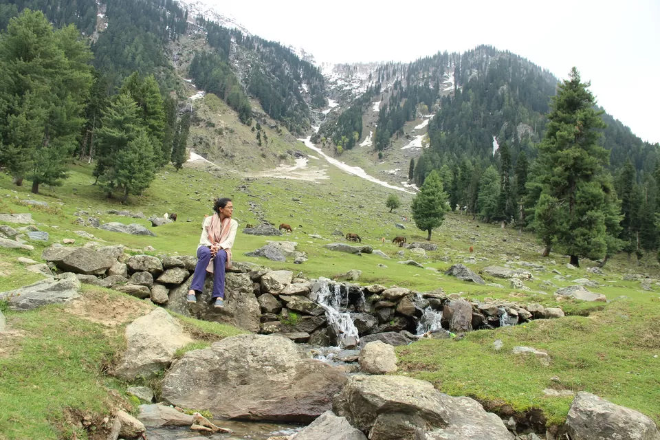 Photo of Betaab Valley, Hajan by Amisha Shah