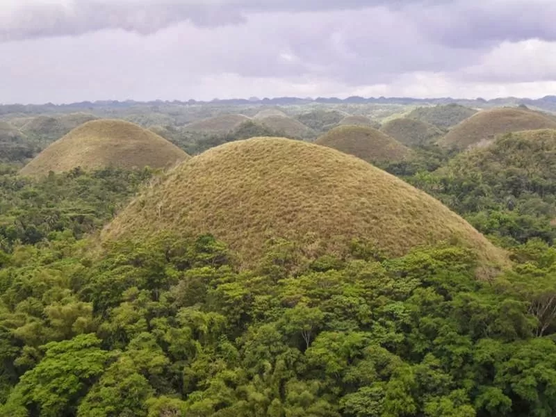 Photo of Chocolate Hills, Carmen-Sagbayan-Bacani Road, Sagbayan, Central Visayas, Philippines by Veta