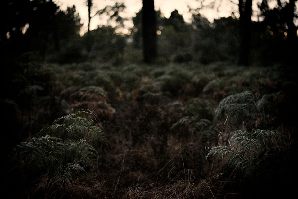 Photo of Driving On The Rough Roads In Australia 2/5 by Chris Allbritton
