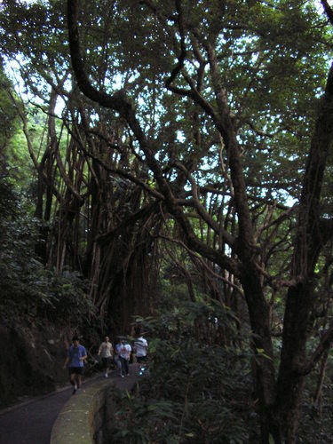 Photo of Victoria Peak, The Peak, Hong Kong by travel4foodfun