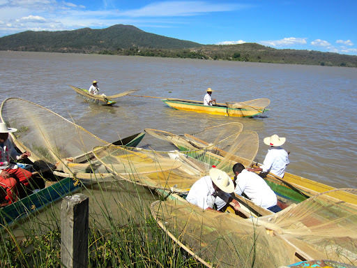 Photo of Lago de Patzcuaro/Lake Patzcuaro 40/43 by Dianne