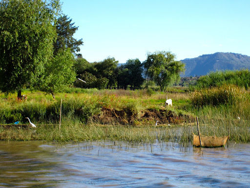 Photo of Lago de Patzcuaro/Lake Patzcuaro 42/43 by Dianne