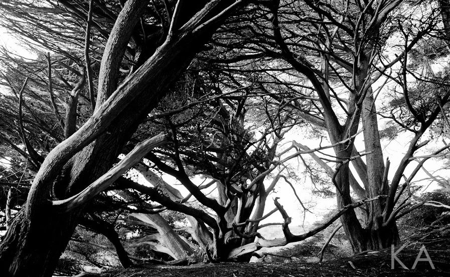 Photo of Big Sur, CA, United States by Kirsten Alana