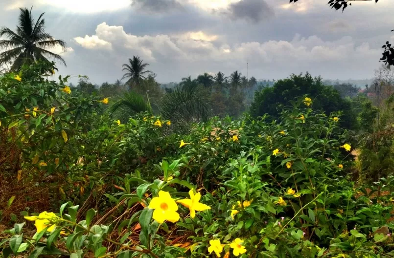 Photo of Borobudur, Central Java, Indonesia by Kirsten Alana