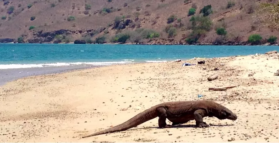 Photo of Komodo Island, Komodo, East Nusa Tenggara, Indonesia by Kirsten Alana