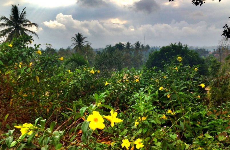 Photo of Indonesia: Facing My Travel Fears 2/9 by Kirsten Alana