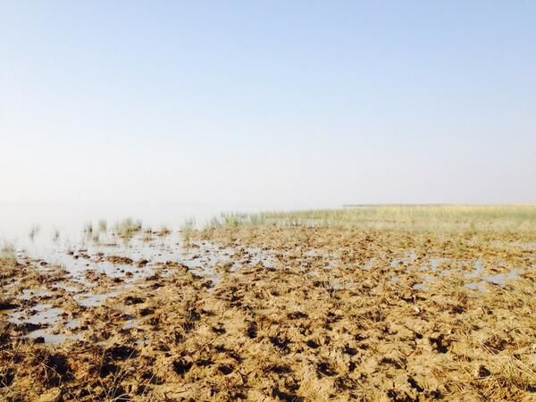 Photo of Travel Nightmares: The Less Lusty Side Of Wandering 1/4 by Saanya Gulati