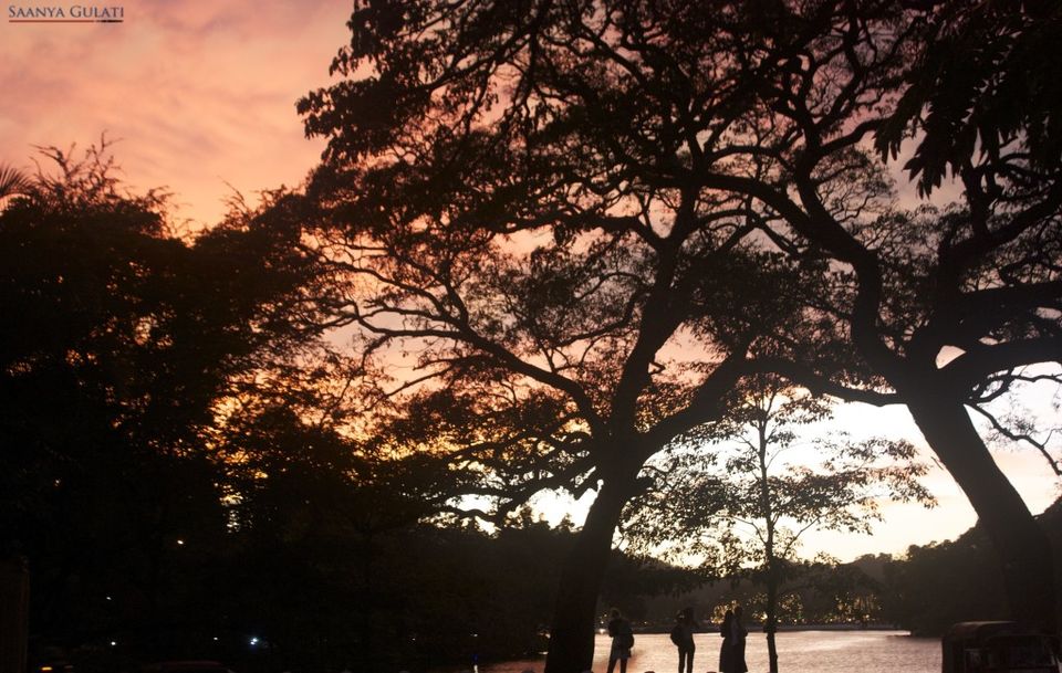 Photo of #SriLankaDiaries: The Colours of Kandy - Saanya Gulati 9/13 by Saanya Gulati