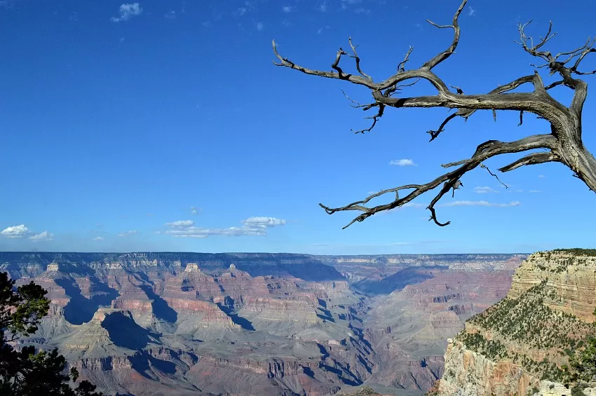 Photo of Grand Canyon National Park, AZ, United States by Hayley