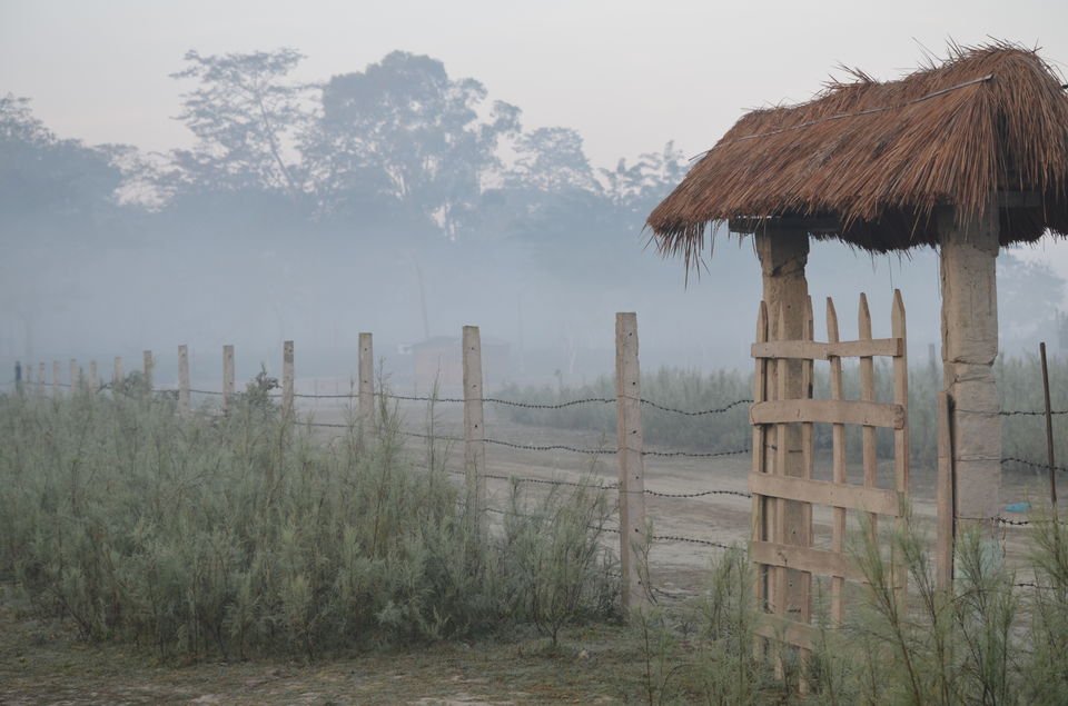 Photo of Unexplored North-East India 8/81 by uma