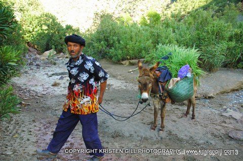 Photo of Morocco’s Hidden Gems: The Ahansel River 8/11 by Kristen Gill