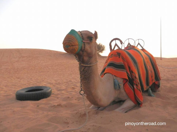 Photo of Amateur's Guide to Dubai 2/13 by Nik Rielo