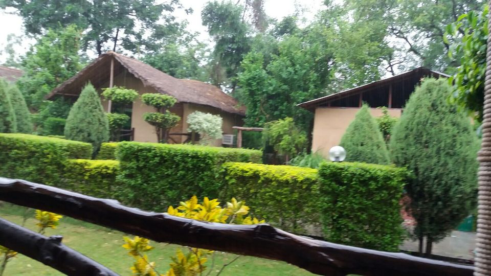 Photo of Trip to Corbett National Park by Dhirendra Shukla