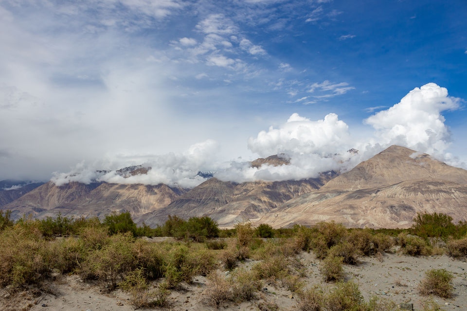Photo of Khardungla Pass, Khardung La Road, Leh by Phani Varma