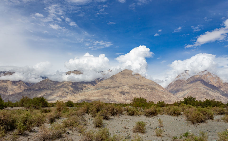 Photo of Khardungla Pass, Khardung La Road, Leh by Phani Varma