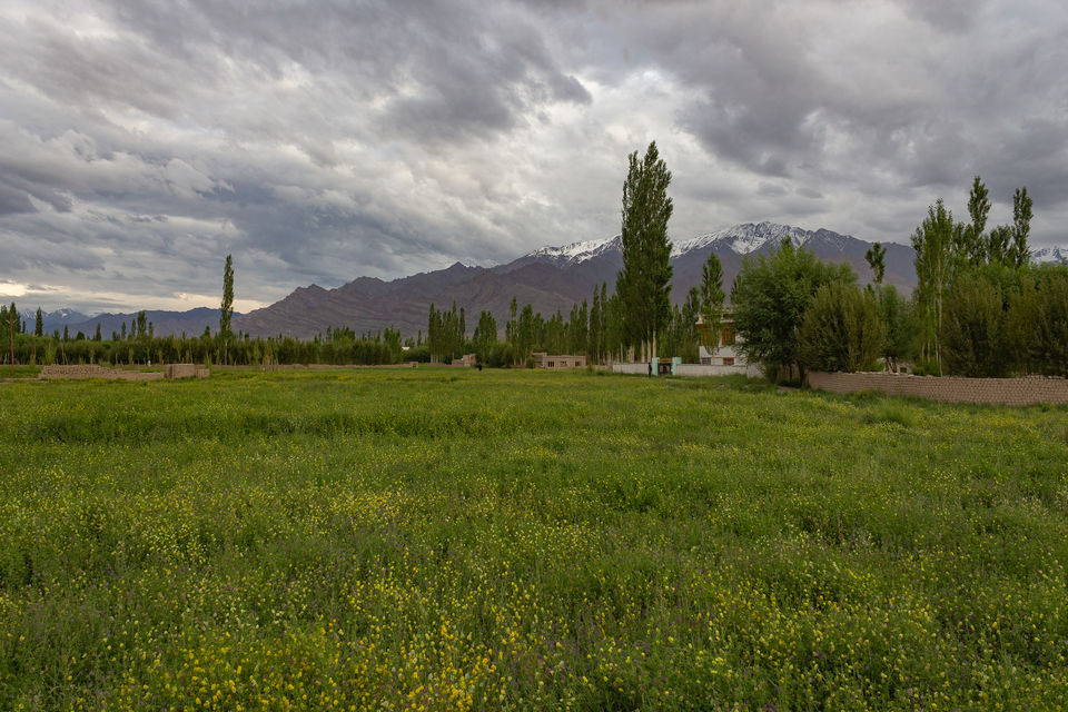 Photo of Leh - Ladakh - Trip to remember for a lifetime 11/12 by Phani Varma