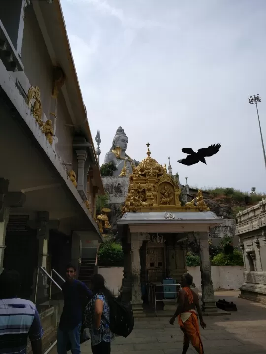 Photo of Ferns City Road, Ferns City, Doddanekkundi, Kartik Nagar, Bengaluru, Karnataka 560048, India by Karthik Gadela